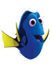 Dory